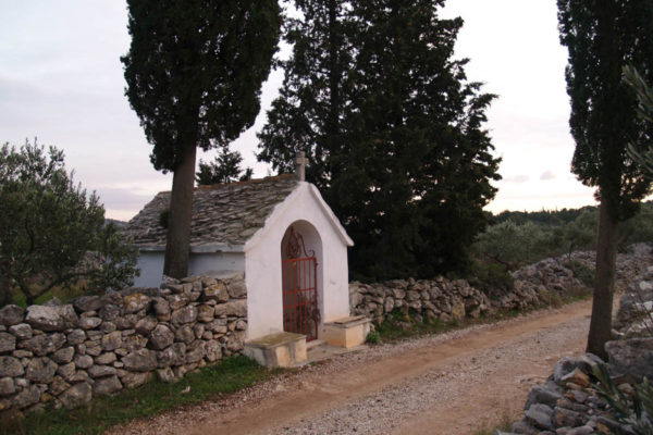 P1060726